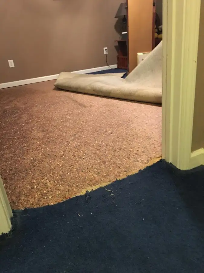 Carpet pad removal revealing water damage during Water Mitigation Services in Glen Ellyn
